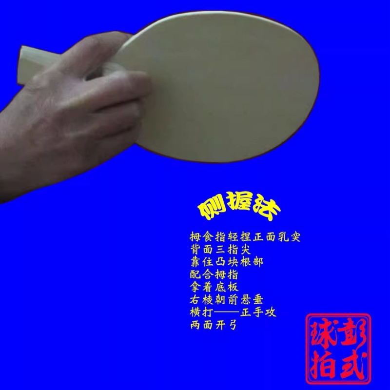 Chinese/Japanese Style Table T - Table Tennis In Japanese ulasan dan harga