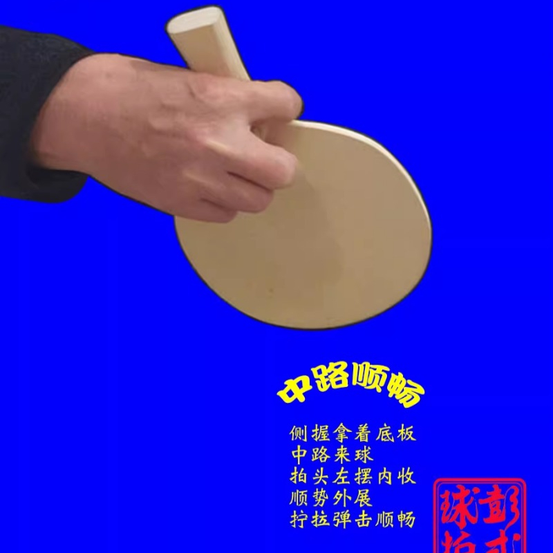 Chinese/Japanese Style Table T - Table Tennis In Japanese ulasan dan harga